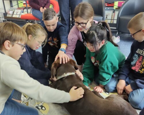 595527177_1553454140113529_1044463998648841567_n 595527177_1553454140113529_1044463998648841567_n