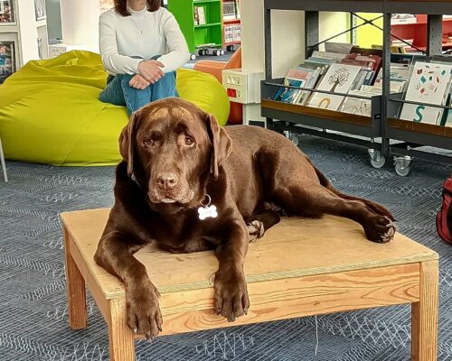 615428496_1319438923559601_2190659801803349903_n 615428496_1319438923559601_2190659801803349903_n