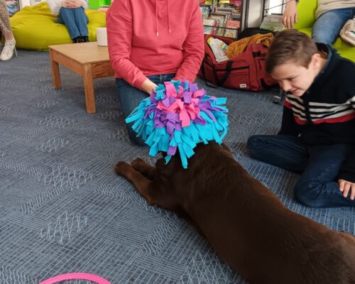 615433848_1319438986892928_1509530306132516480_n 615433848_1319438986892928_1509530306132516480_n