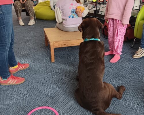 615437644_1319439016892925_5542638170529135689_n 615437644_1319439016892925_5542638170529135689_n