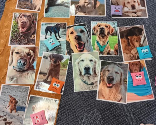 615471809_1319438976892929_2581426415374177492_n 615471809_1319438976892929_2581426415374177492_n