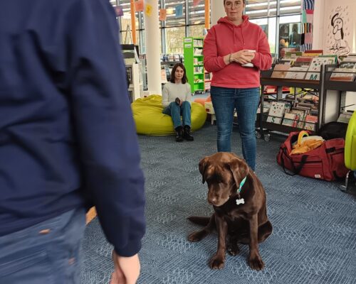 616040119_1319438973559596_6481416866941806790_n 616040119_1319438973559596_6481416866941806790_n