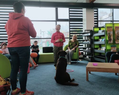 616993734_1319985330171627_3440031000541836692_n 616993734_1319985330171627_3440031000541836692_n