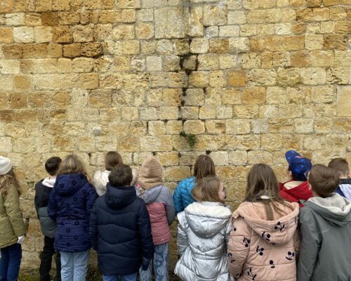 630180510_122162258030701469_2447021331272997326_n 630180510_122162258030701469_2447021331272997326_n