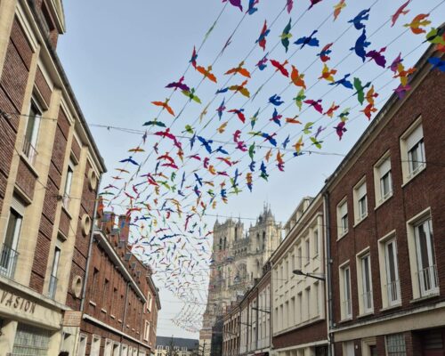 654690407_1642232101235732_4546705756555515376_n 654690407_1642232101235732_4546705756555515376_n