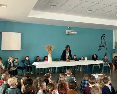 663284146_1656832616442347_2180068377263182283_n 663284146_1656832616442347_2180068377263182283_n