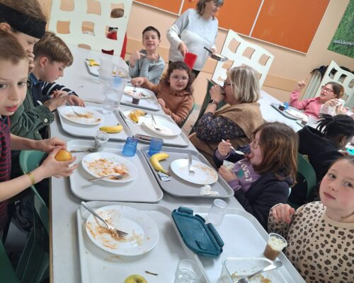 666485181_1656834899775452_7593664244074740512_n 666485181_1656834899775452_7593664244074740512_n