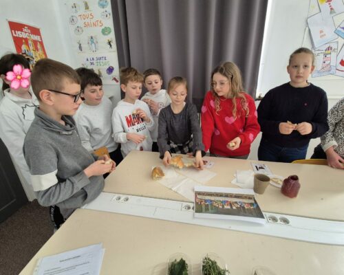 666872342_1656851586440450_7559704890890957791_n 666872342_1656851586440450_7559704890890957791_n